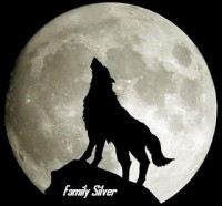 /album/galeria-de-fotos/lobo-silver-uivo-jpg/